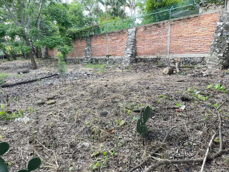Terreno en venta en Cajititlan